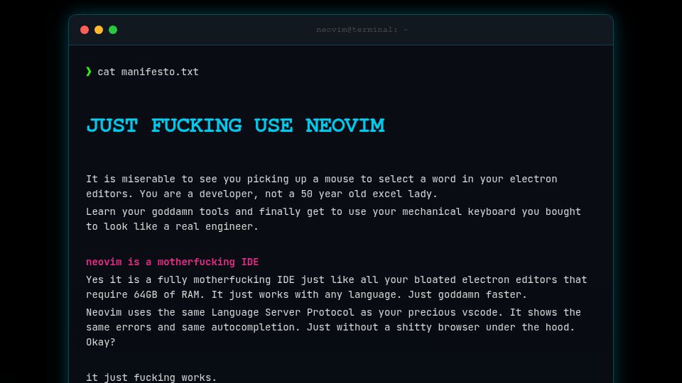 Screenshot of justfuckinguseneovim.com: Just Fucking Use Neovim