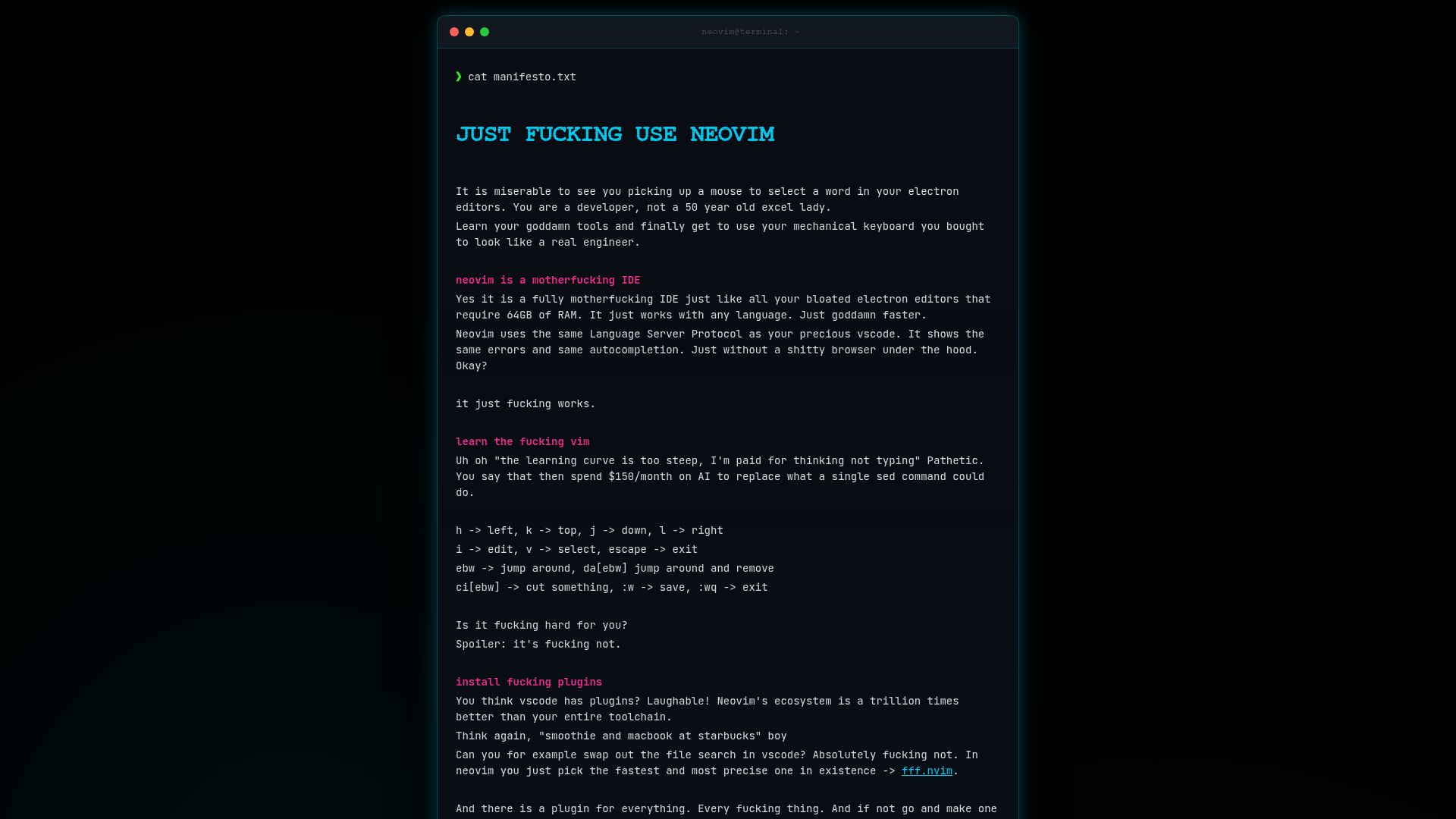 Screenshot of justfuckinguseneovim.com: Just Fucking Use Neovim