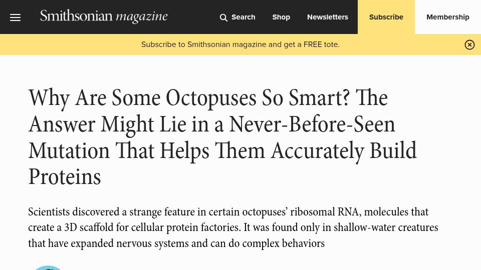 Screenshot of smithsonianmag.com: Octopus intelligence may be related to never-before-seen mutation