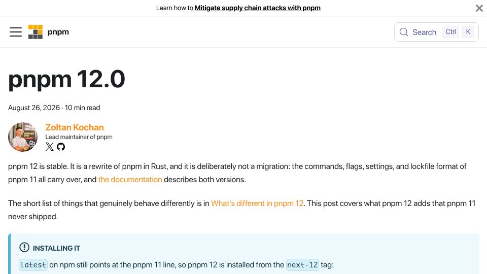 Screenshot of pnpm.io: Pnpm 12.0