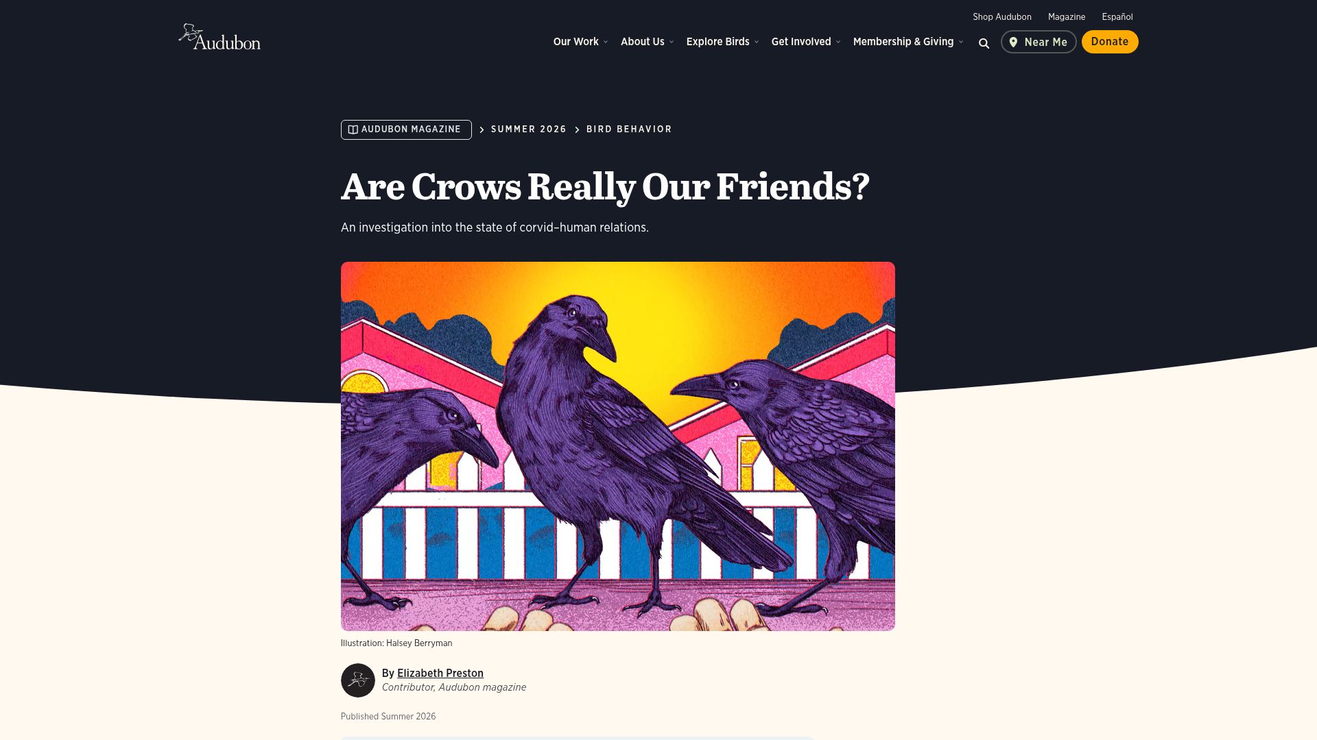Screenshot of audubon.org: An investigation into the state of corvid–human relations