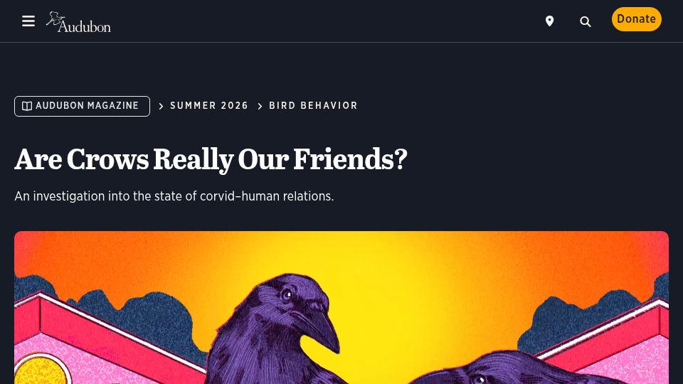 Screenshot of audubon.org: An investigation into the state of corvid–human relations