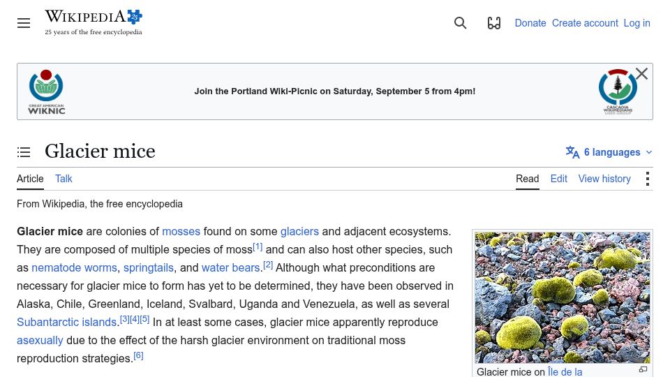 Screenshot of en.wikipedia.org: Glacier Mice