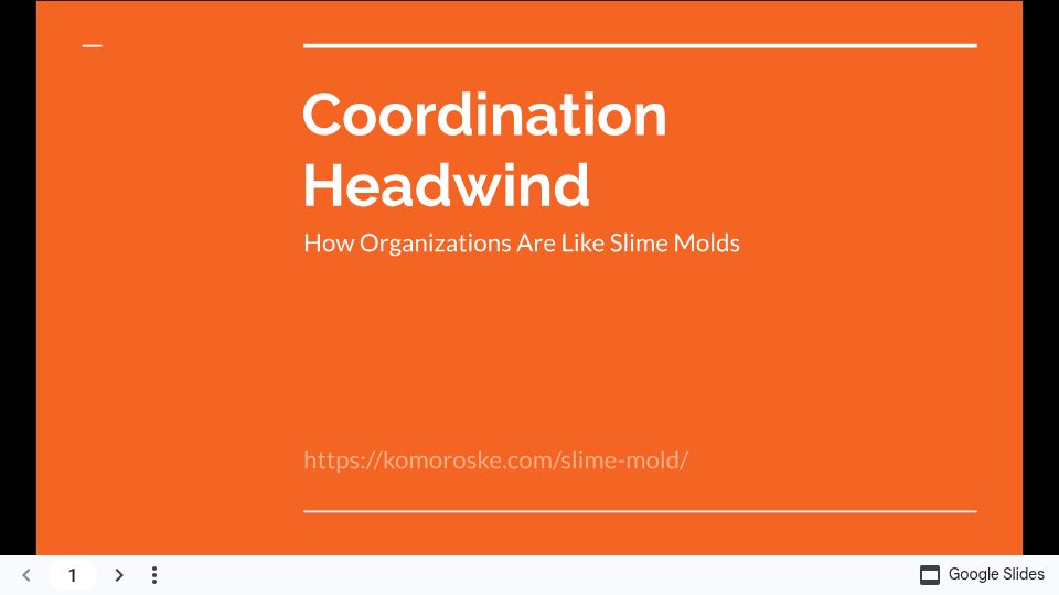Screenshot of komoroske.com: Coordination Headwind: How Organizations Are Like Slime Molds