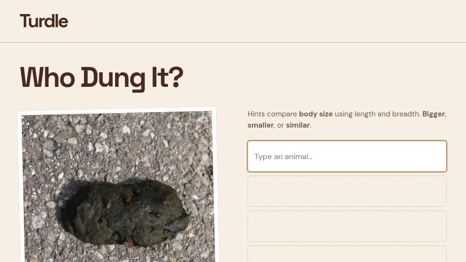 Screenshot of turdle.fun: Who Dung It? (Turdle.fun)