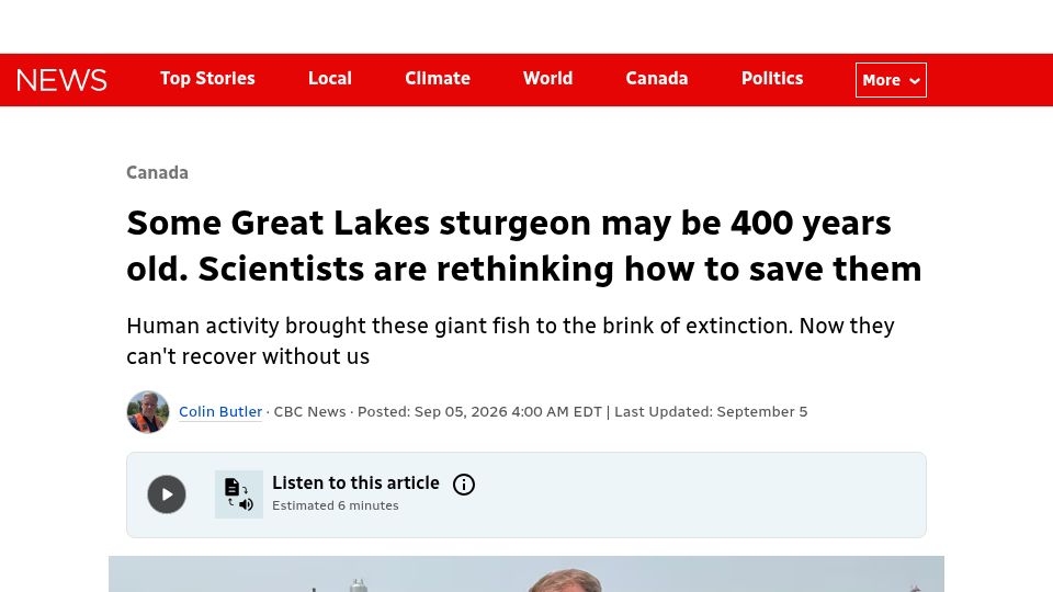 Screenshot of cbc.ca: Great Lakes sturgeon may be 400 years old:Scientists rethinking how to save them