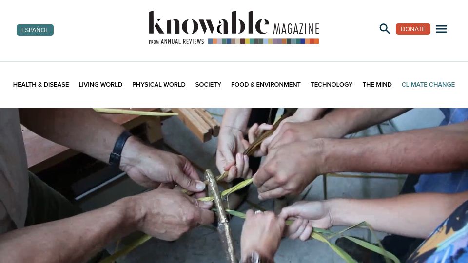 Screenshot of knowablemagazine.org: Rope, twine and thread: Invisible technologies of the Stone Age