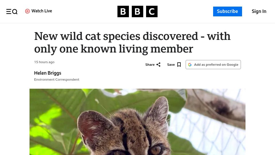 Screenshot of bbc.com: New wild cat species discovered – with only one known living member