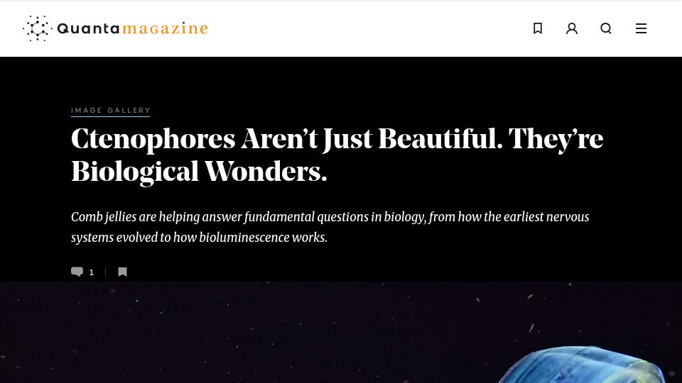 Screenshot of quantamagazine.org: Ctenophores: Wonders of Biology