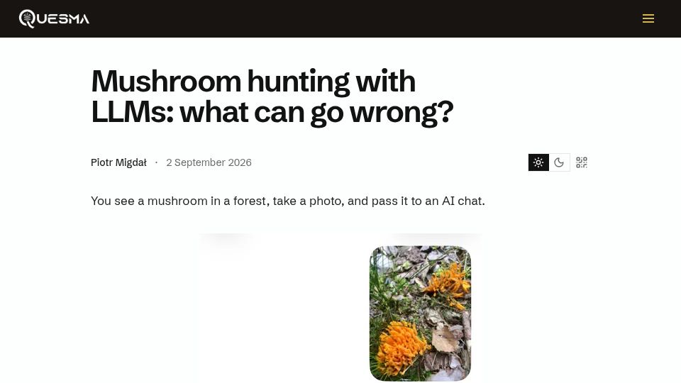 Screenshot of quesma.com: Mushroom hunting with LLMs: what can go wrong?