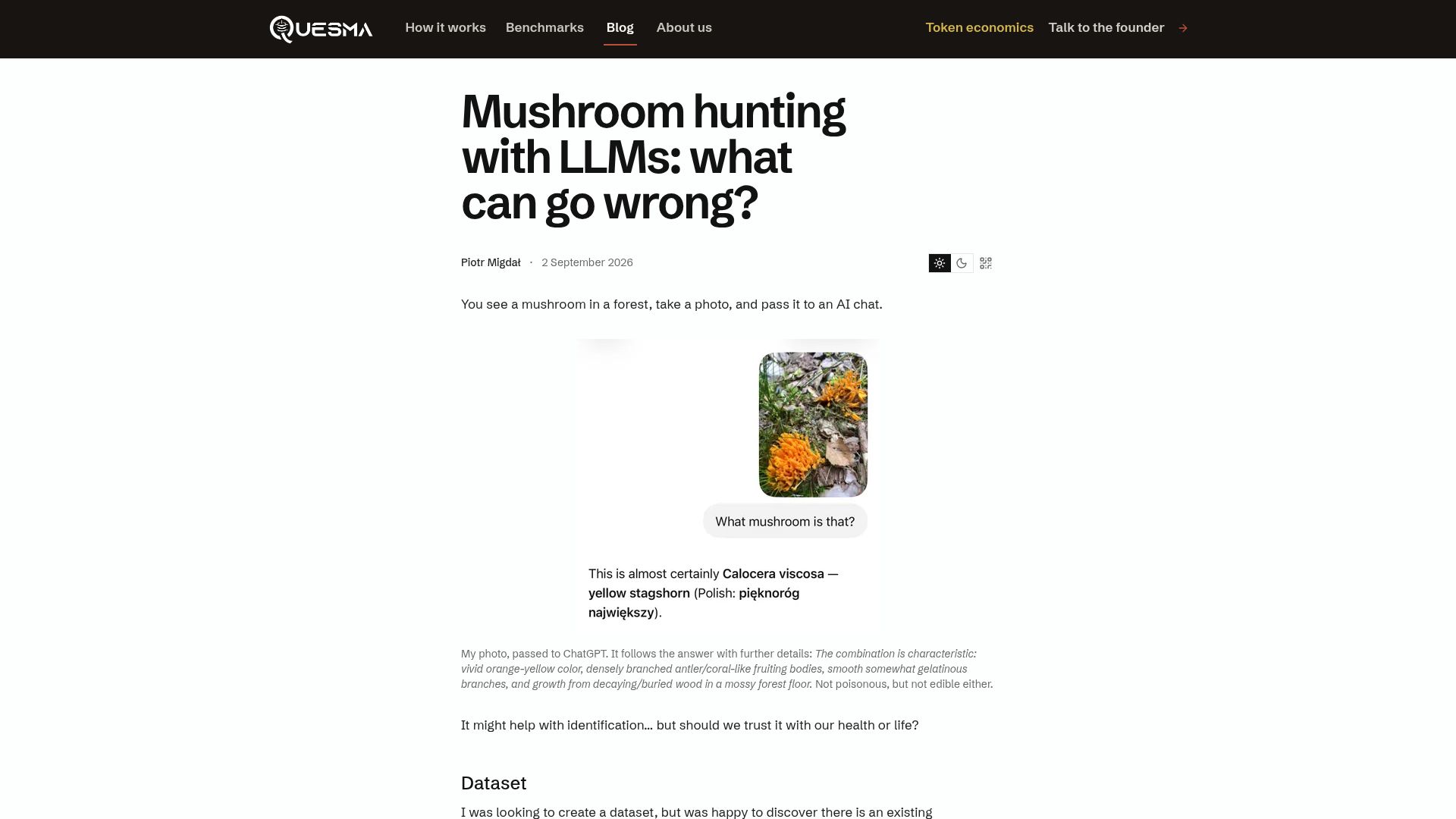 Screenshot of quesma.com: Mushroom hunting with LLMs: what can go wrong?