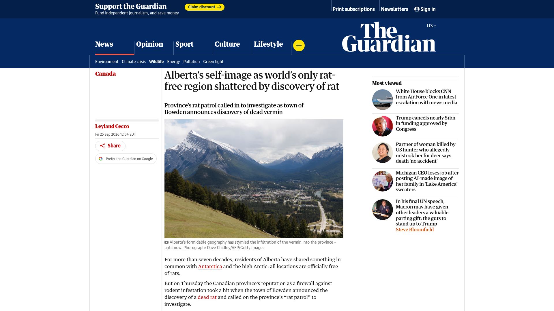 Screenshot of theguardian.com: Alberta's image as world's only rat-free region shattered by discovery of rat