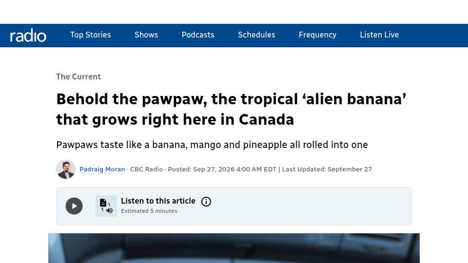 Screenshot of cbc.ca: Behold the pawpaw