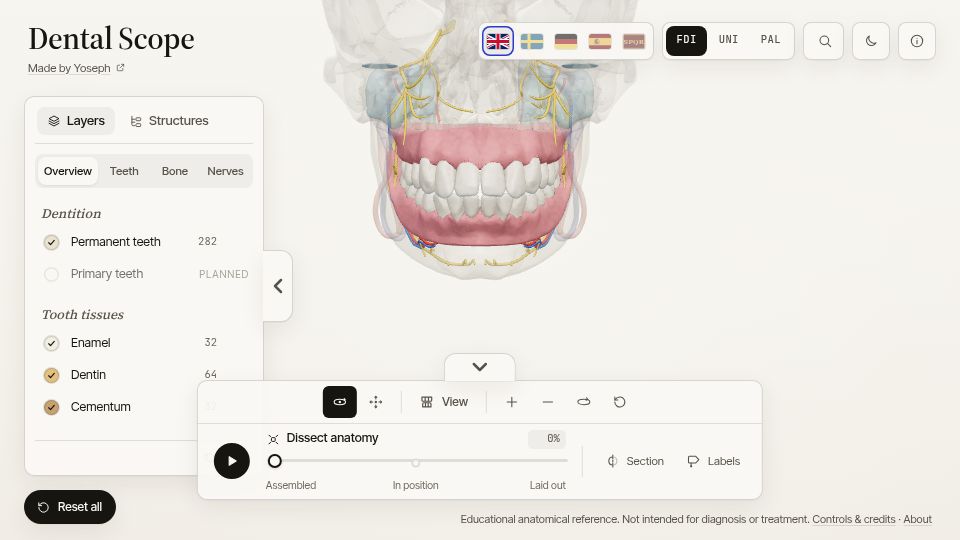 Screenshot of dental-scope.com: Show HN: Dental Scope – Interactive 3D dental anatomy
