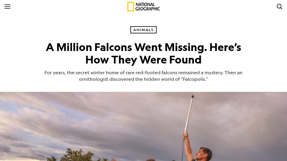 Screenshot of nationalgeographic.com: A Million Falcons Went Missing. Here’s How They Were Found