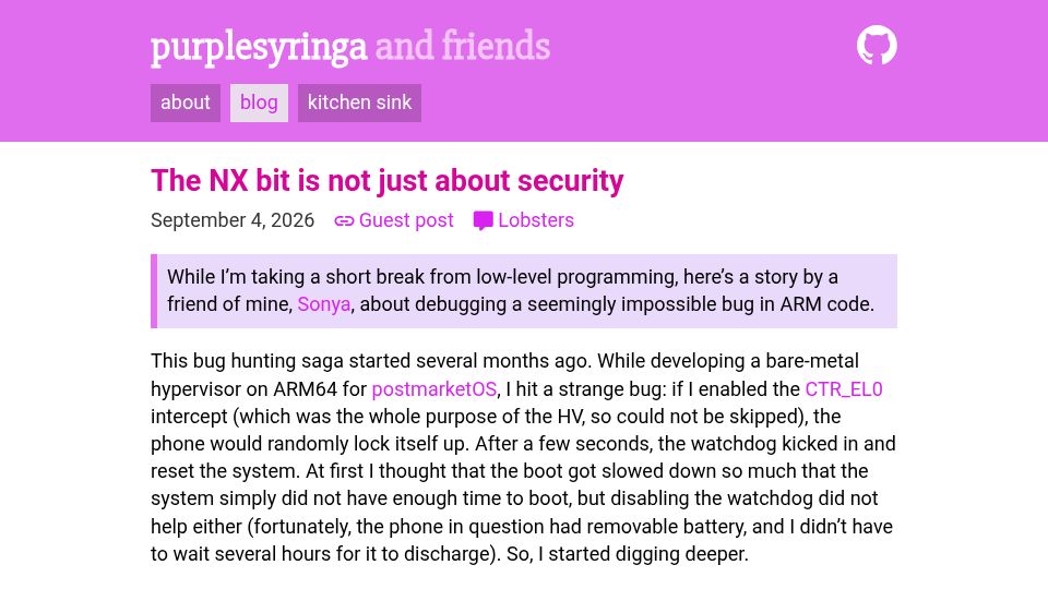 Screenshot of purplesyringa.moe: The NX bit is not just about security