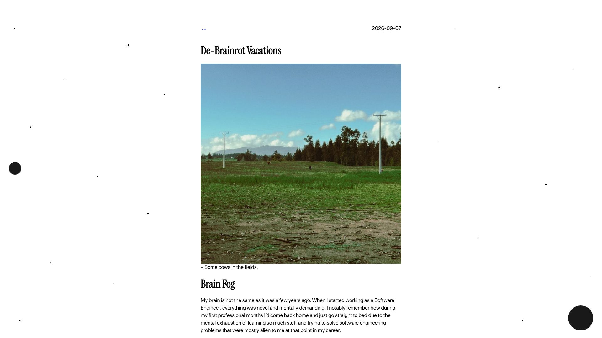 Screenshot of devz.cl: De-Brainrot Vacations
